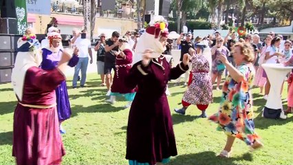 Tatile gelen turistler denizden çıkıp 500 yıllık ağaçlardan zeytin topladı