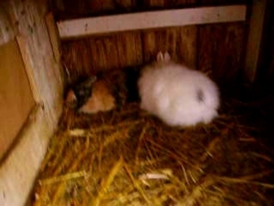 flocon et noisette