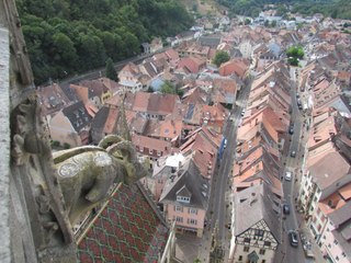 Sur le portail nord de la collégiale de Thann, Michaël Prevost ,sculpteur,  restaure les statues de saint Thiébaut et de sainte Marguerite