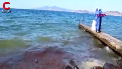 Foça'da petrol kirliliği
