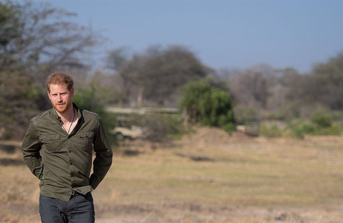 Il Principe Harry gestisce il profilo Instagram del National Geographic