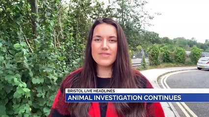 NEWS: 1st October 2019