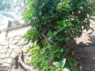 Tea Smell Nhà Thờ Núi Nha Trang P10