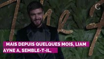 PHOTOS. Qui est Maya Henry, la nouvelle compagne de Liam Payne ?