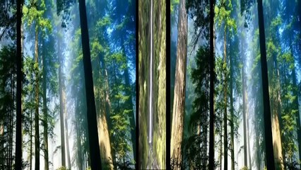 GEÇTİ GİTTİ ZAMAN ٭٭ müzik İLGÜN SOYSEV ٭٭sözler Aynur AVCI