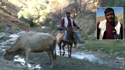 Doğuştan Engelli Genç Ata Biniyor, Koltuk Değneğini Yanına Alıp Çobanlığa Çıkıyor