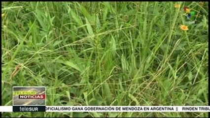 Guatemala: Víctimas de desplazamiento forzado reclaman vivienda digna