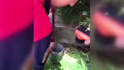 Bodrum'da yağmur giderine sıkışan kedi kurtarıldı