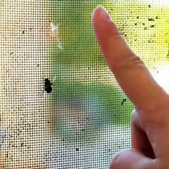 43 GENIUS LIFE HACKS FOR AN EASY LIFE