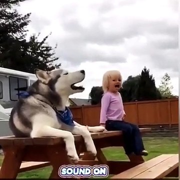 Un chien et une petite fille poussent des cris