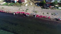 Foça sahilinde korkutan petrol atıkları, 50 kişilik ekip bölgede