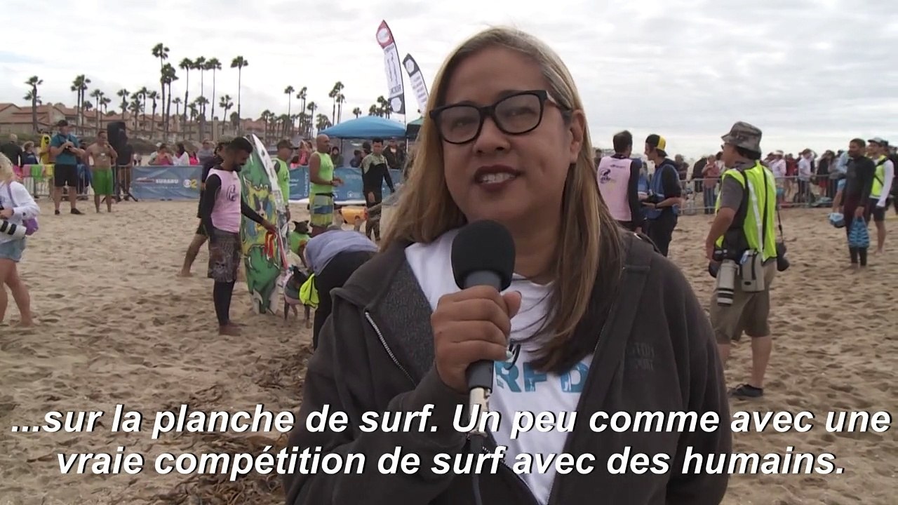 USA: des chiens surfeurs laissent les humains "bouche bée"