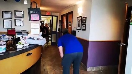 Cão que se perdeu há 4 anos nem acredita que está vendo seu papai de novo