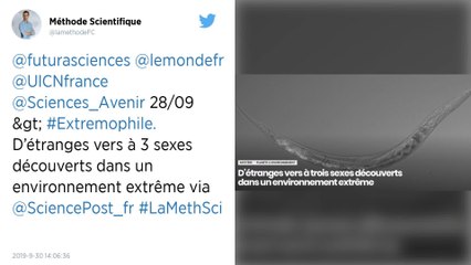 D’étranges vers à trois sexes découverts dans un lac américain