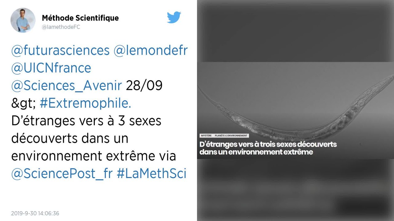 D’étranges vers à trois sexes découverts dans un lac américain