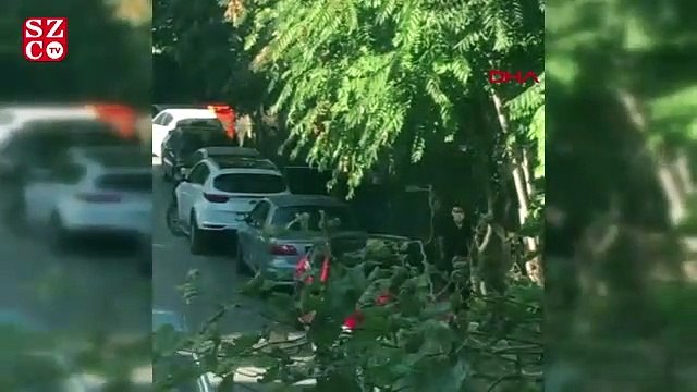 Maskeli hırsızlar, otomobilin camını kırıp çantayı çaldı