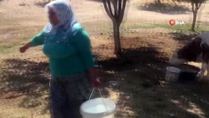 Kocasına özenip ev işlerini bırakarak sinema filmi çekti