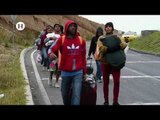 OEA pide estatus de refugiados para migrantes venezolanos;  reportaje de El Heraldo TV