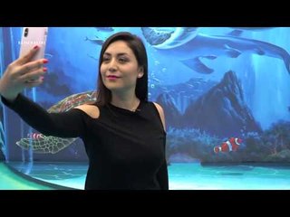 Museo de Realidad Aumentada en la CDMX, donde tu imaginación cobra vida