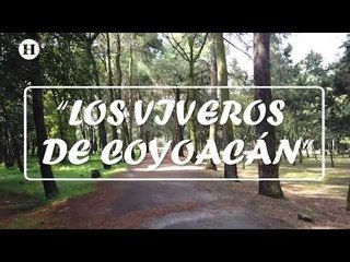 ¿Sin planes para este fin?; Tres lugares que no conocías en Coyoacán