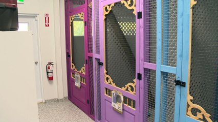 Le nouveau Refuge Madawaska ouvre ses portes