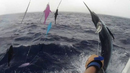 Visions of Granders: Fishing the Wahine Tournament