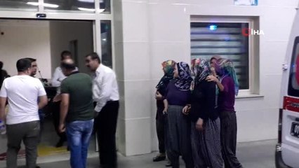 Kestiği ağaç üzerine düşen kişi ağır yaralandı