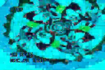 MVGEN: Boards of Canada : Telephasic Workshop