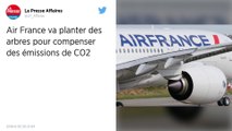 Air France prévoit de compenser 100 % des émissions de CO2 de ses vols intérieurs à partir de 2020