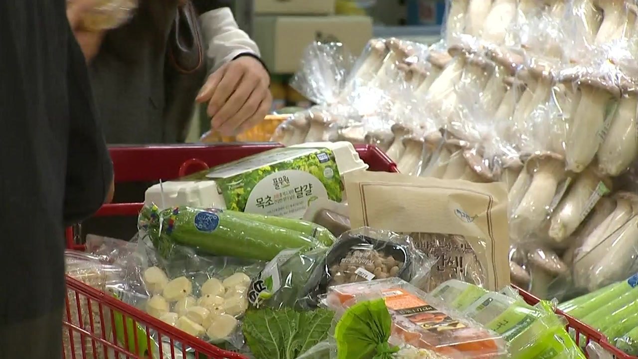 9월 소비자물가 0.4% 하락...사상 첫 공식 마이너스 물가 / YTN