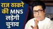 Raj Thackeray का बड़ा ऐलान, MNS लड़ेगी Maharashtra Vidhan Sabha Elections | वनइंडिया हिंदी