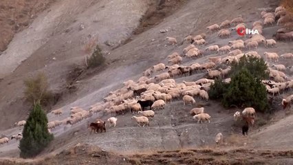 Göçerlerin zorlu yaşam mücadelesi