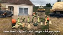 Dordogne : il a plus de 1100 courges dans son jardin