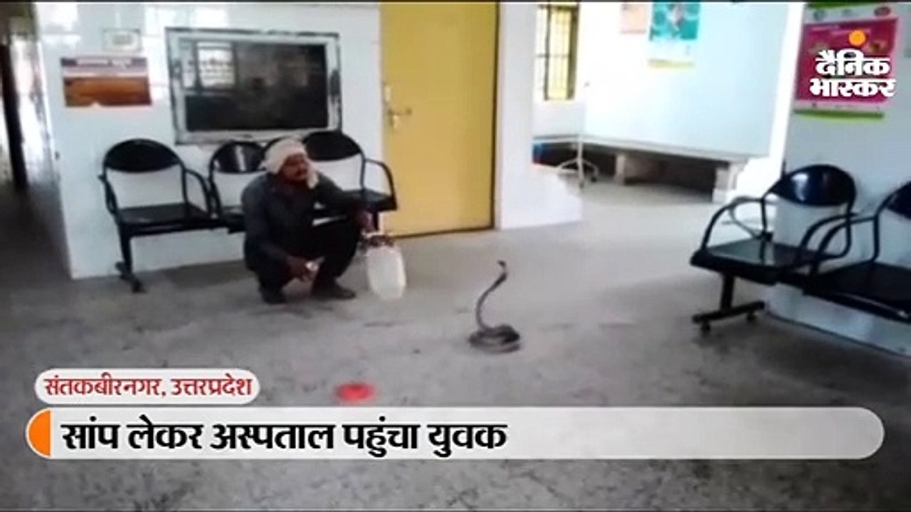 सांप ने काटा तो उसे पकड़कर अस्पताल पहुंचा युवक