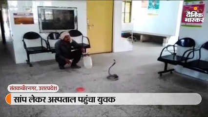 सांप ने काटा तो उसे पकड़कर अस्पताल पहुंचा युवक