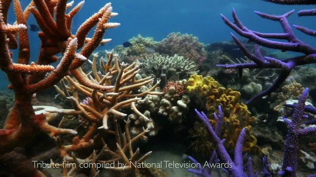 James Honeyborne Honored as Scuba Diving’s Sept/Oct Sea Hero