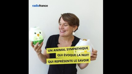 La Chouette radio : de l'idée au prototype