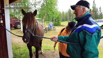 세계테마기행 - 숨겨진 세계 라플란드- 요정들이 사는 숲_#002