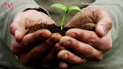 Fighting Climate Change With Shipping Options