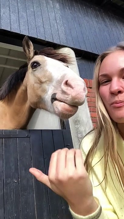 Human and Horse Sharing a Snack