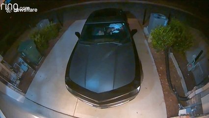 US home security camera catches man urinating on driveway that he thought was his friend's
