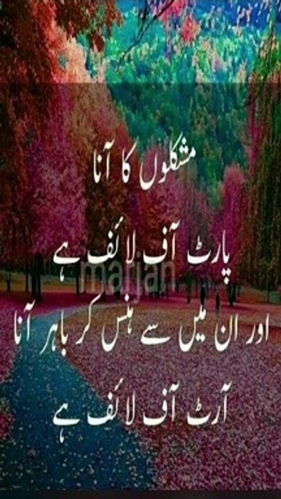 Beautiful Urdu Quotes With Voice
