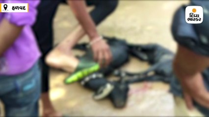 હળવદના કડીયાણામાં 10 ઈંચ વરસાદ પાણીમાં તણાતા 90 પશુઓના મોત