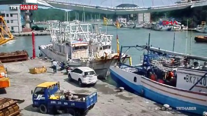 Tayvan'da köprü çöktü: 10 yaralı, 5 kayıp