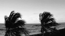 Far From Home - Tropical Beach - Palm Trees - Exotic Locations