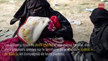 Comment l'aide sociale se charge des enfants revenus de Syrie