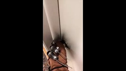 Voici pourquoi il faut toujours fermer la porte lorsque vous prenez une douche