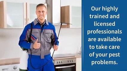 Professionals To Take Care Of Your Pest Problems