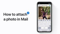 How to attach a photo in Mail in iOS 13 on your iPhone, iPad, or iPod touch – Apple Support