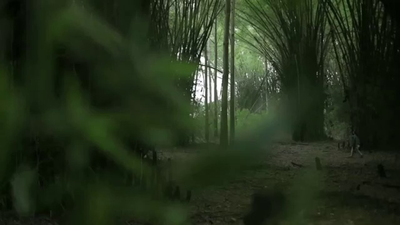 Indore society for organ donation